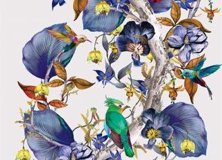 Фото - Обои Osborne & Little Enchanted Gardens - 324771>