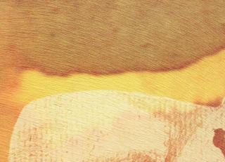 Фото - Обои Elitis Sauvages - 605276>