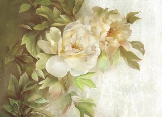 Фото - Обои Ortograf Flower dreams - 476775>