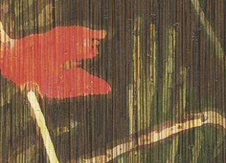 Фото - Обои Elitis Formentera - 398428>