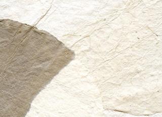 Фото - Обои Elitis Epure - 340455>