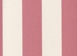 Фото - Обои Ich Elegance - 249443>