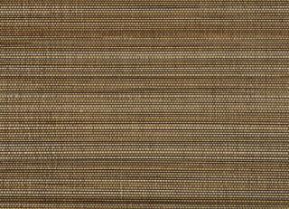 Фото - Обои Pierre Frey Graminees 1 - 312129>