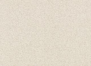 Фото - Ткани Kirkby design Graphic Nature - 606818>