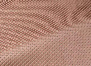 Фото - Ткани Braquenie Alizon - 410725>