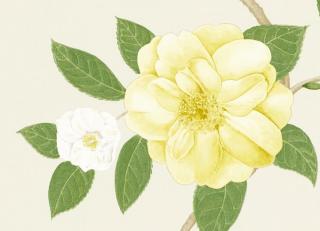 Фото - Обои Sanderson Voyage of discovery - 204357>