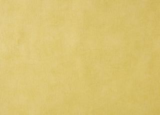 Фото - Обои Caselio Curiosity - 223619>