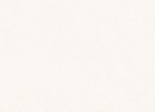 Фото - Обои Zambaiti Elie Saab 2 - 607428>