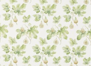 Фото - Ткани Sanderson Art Of The Garden Fabrics - 324385>