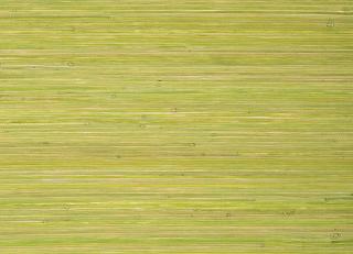 Фото - Обои Thibaut Grasscloth Resource 5 - 523878>