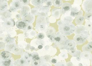 Фото - Обои Ich Dans Lemur Caribbean - 440843>