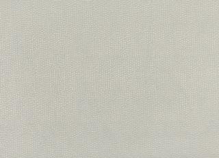 Фото - Ткани Villa Nova Loess Satins - 472304>