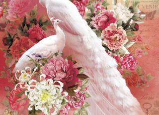 Фото - Обои Ortograf Paradise - 477294>