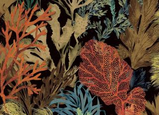 Фото - Обои Hohenberger Tropical - 545167>