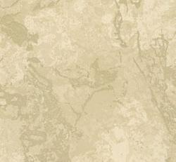 Фото - Обои Osborne & Little Onyx - 176906>