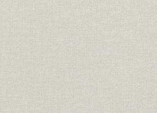Фото - Ткани Villa Nova Vigo Semi-Plain Weave - 361344>