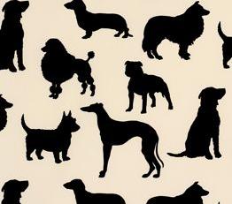 Фото - Обои Osborne & Little Walk in the park - 353177>