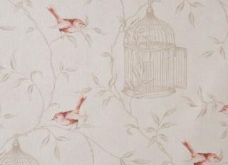 Фото - Обои Caselio Curiosity - 223604>