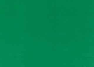 Фото - Ткани Kirkby design Ice Cotton Velvet - 331483>