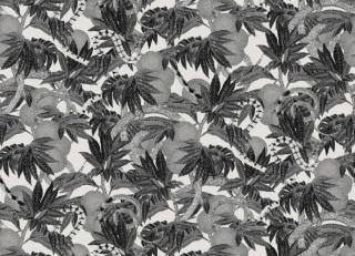 Фото - Обои Khroma Cabinet of curiosities - 508869>