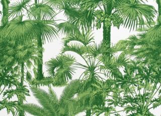 Фото - Ткани Thibaut Tropics - 529840>