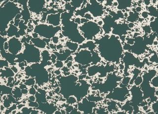 Фото - Обои Clarke&Clarke Botanica Wallcoverings - 362016>