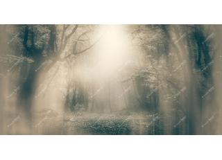 Фото - Обои Inkiostro Bianco Light and Shadows - 547570>