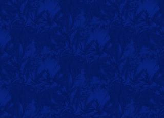 Фото - Обои Tres Tintas Sophie - 198117>