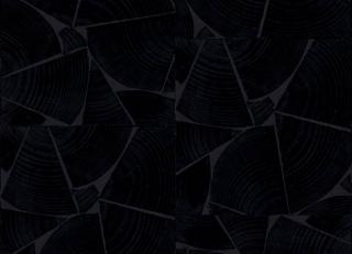 Фото - Обои Elitis Marqueteries - 560864>