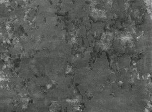 Фото - Ковры на пол Villa Nova - 541997>