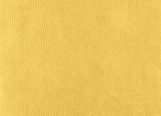 Фото - Ткани Houles Ginkgo - 465192>