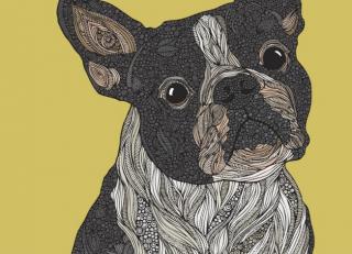 Фото - Обои Ortograf Валентина Рамос - 478333>