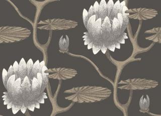 Фото - Обои Cole & Son Contemporary Restyled - 232240>