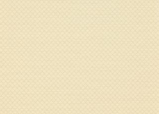 Фото - Обои Colefax and Fowler Textured Wallpapers - 384384>