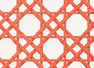 Фото - Обои Thibaut Summer House - 339890>