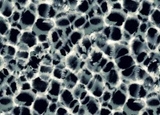 Фото - Обои Ronald Redding Traveler - 547950>