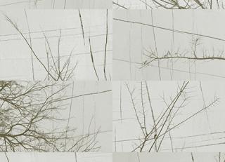 Фото - Обои Wall&Deco CODE 2017 CONTEMPORARY - 464450>