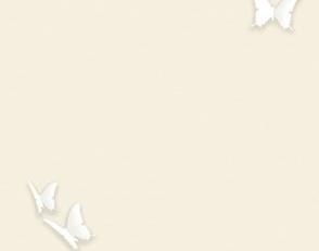 Фото - Обои Andrea Rossi Gallinara - 615304>