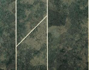 Фото - Обои Bernardo Bartalucci Brigida - 612982>