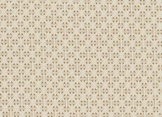 Фото - Ткани Clarke&Clarke Colony Fabrics - 305239>