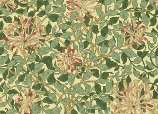 Фото - Обои Morris & Co Morris and Friends Wallpapers - 607849>