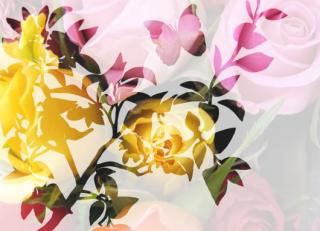 Фото - Обои Mr Perswall Creativity & Photo Art - 235087>