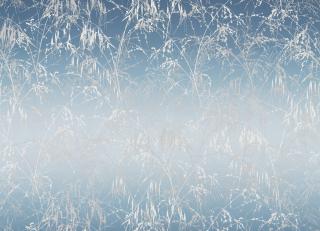 Фото - Ткани Harlequin Lilaea Fabrics - 361430>