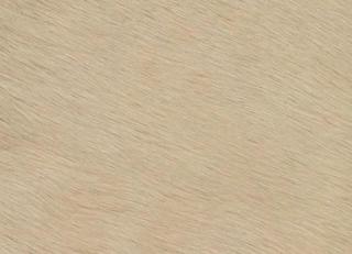 Фото - Аксессуары Pavoni Кожа Vitellina Pelo - 589044>