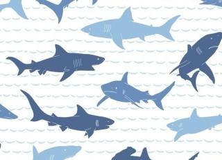 Фото - Обои York Wallcoverings A Perfect World - 443153>