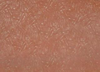 Фото - Ткани Villa Nova Elswyth - 541948>