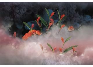 Фото - Обои Ortograf Flower dreams - 476747>