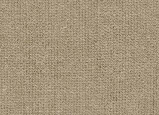 Фото - Ткани Misia Gentleman - 508781>