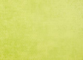 Фото - Обои Caselio Delicate - 226908>