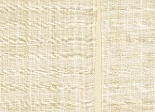 Фото - Обои Elitis Nomades - 377960>